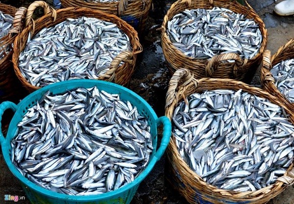 Thuyết minh về cá cơm sản xuất nước mắm Phú Quốc 4 Thuyet-minh-ve-phu-quoc-4